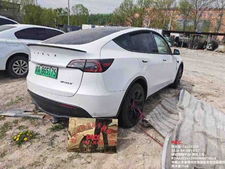 Tesla Model Y 2021 car image #13