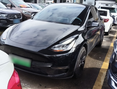 Tesla Model Y 2021 Tesla Model Y 2021 car image