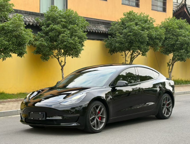 Tesla Model 3 2022 Tesla Model 3 2022 car image