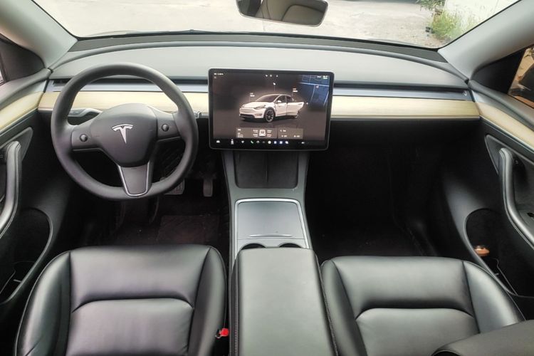 Tesla Model Y 2023 car image #10