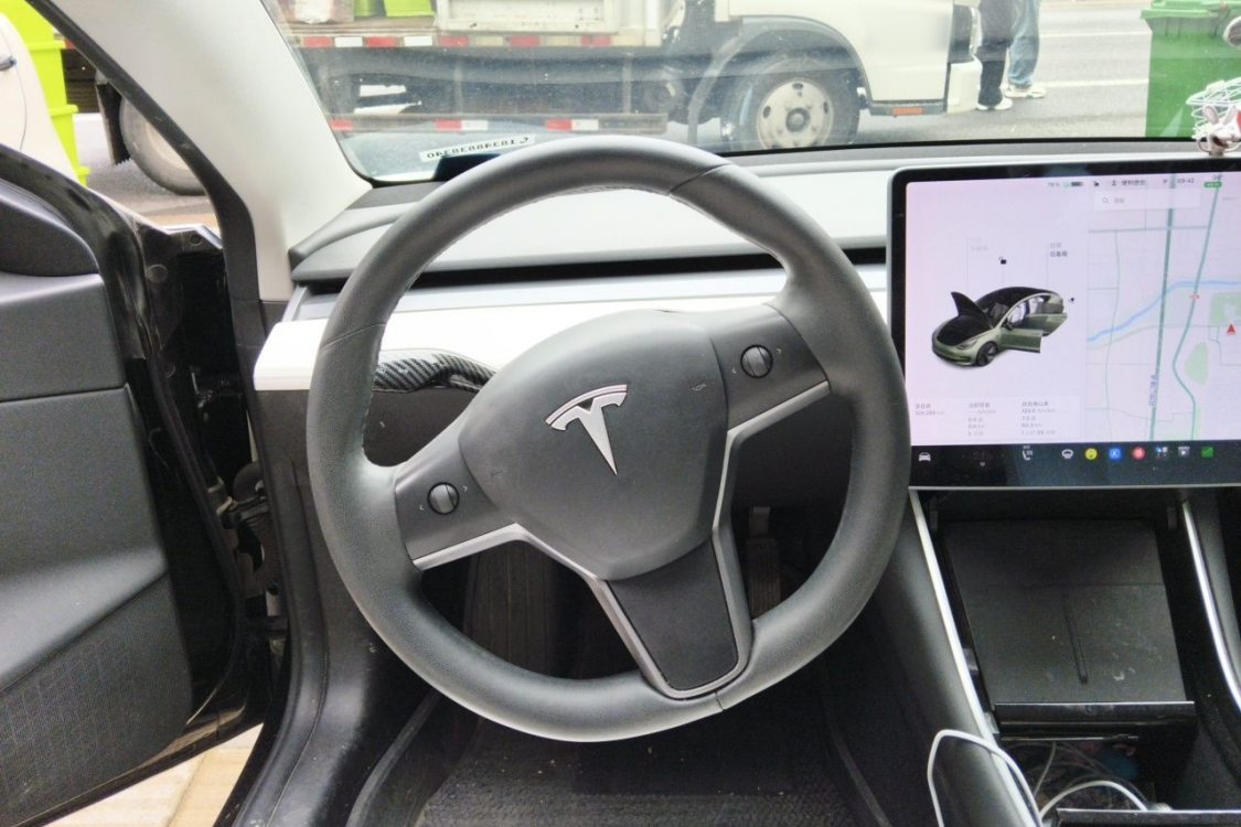 Tesla Model 3 2020 car image #22