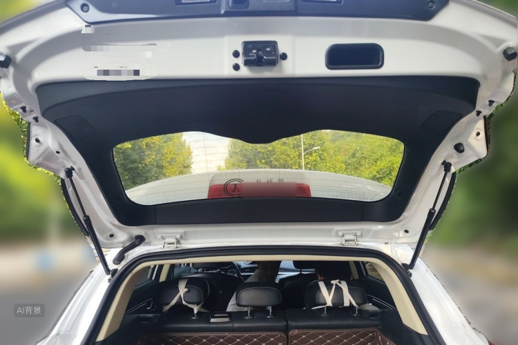 GEELY Emgrand GS 2019 #21 GEELY Emgrand GS 2019 car image #21