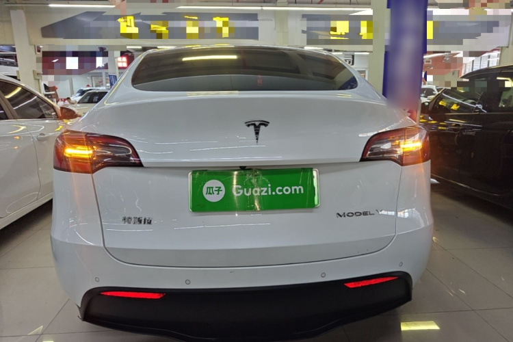 Tesla Model Y 2021 #6 Tesla Model Y 2021 car image #6