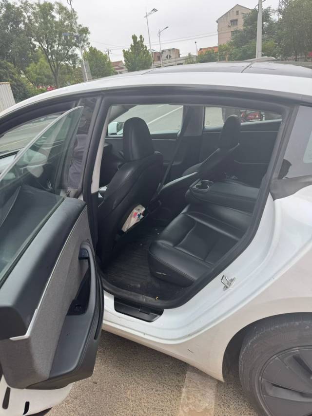 Tesla Model 3 2023 #3 Tesla Model 3 2023 car image #3