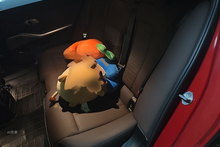 宝马 宝马3系 2021 汽车图片 #19