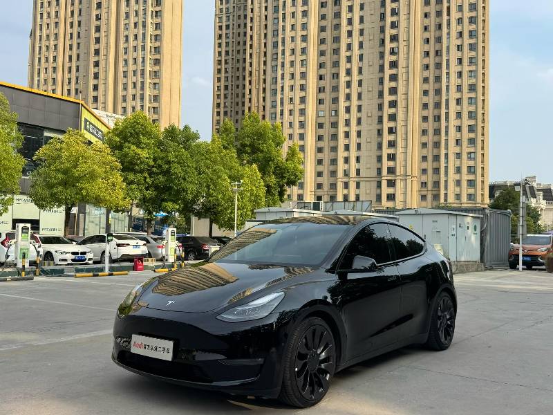 Tesla Model Y 2023 car image 