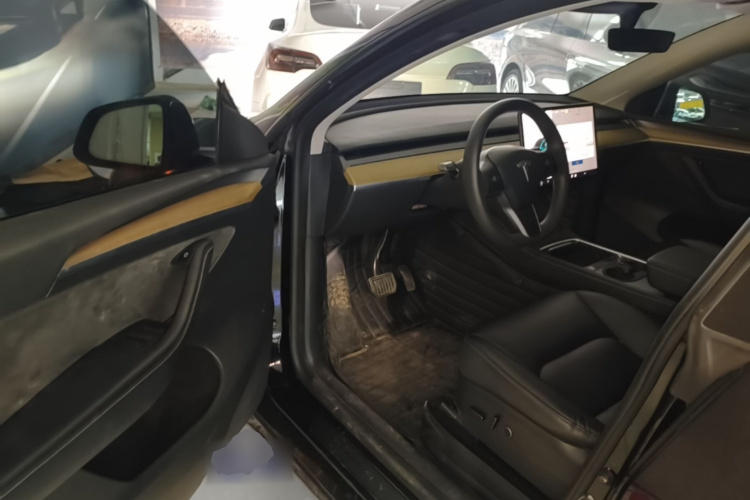 Tesla Model Y 2022 car image #16