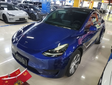 Tesla Model Y 2022 Tesla Model Y 2022 car image