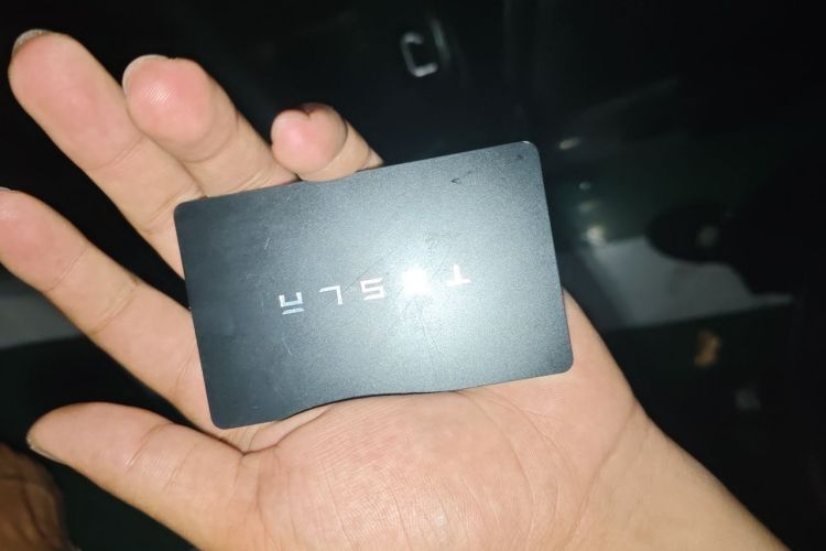 Tesla Model Y 2023 #11 Tesla Model Y 2023 car image #11