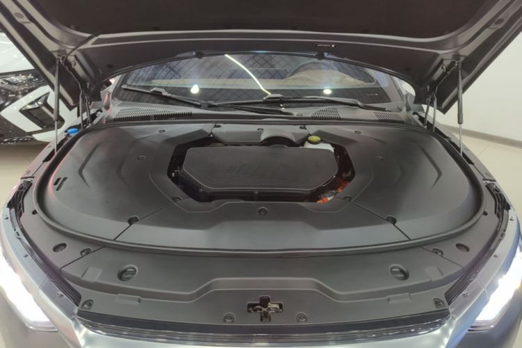 BYD Han 2021 car image #20
