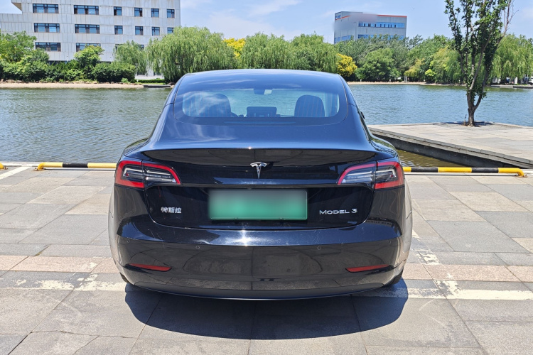 Tesla Model 3 2020 car image #6