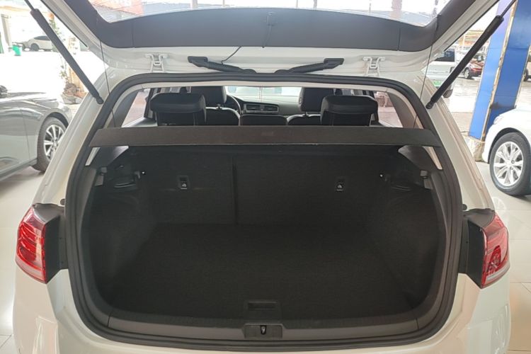 Volkswagen Golf 2020 car image #19