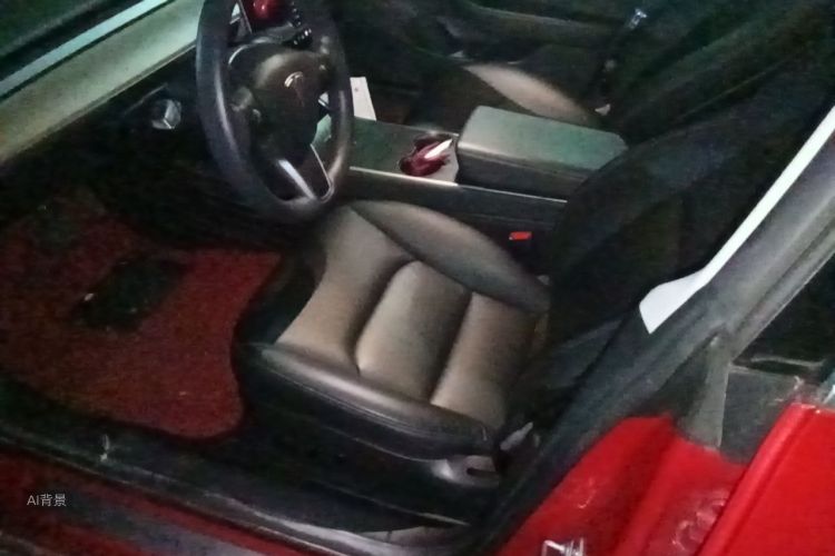 Tesla Model 3 2020 image de voiture #18