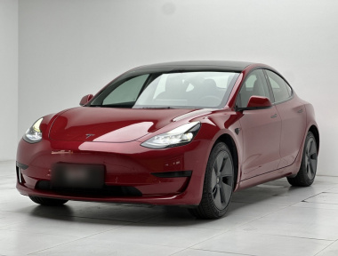 Tesla Model 3 2022 car image 