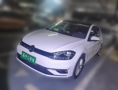 Volkswagen Golf 2019 Volkswagen Golf 2019 car image
