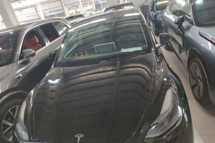 Tesla Model Y 2023 #3 Tesla Model Y 2023 car image #3