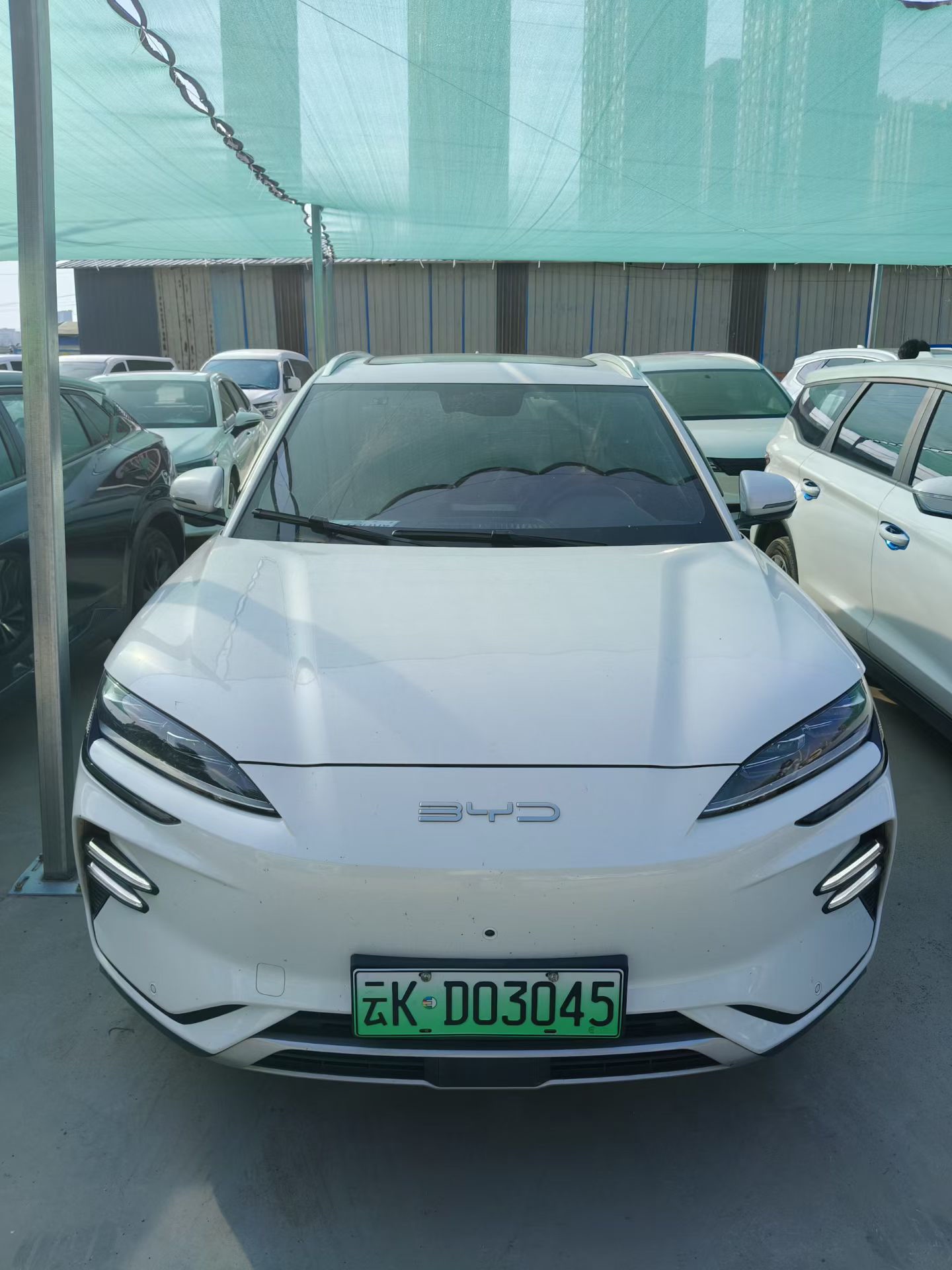 BYD Song Plus New Energy 2024 car image #2