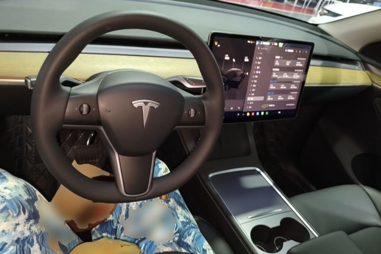 Tesla Model Y 2023 #10 Tesla Model Y 2023 car image #10