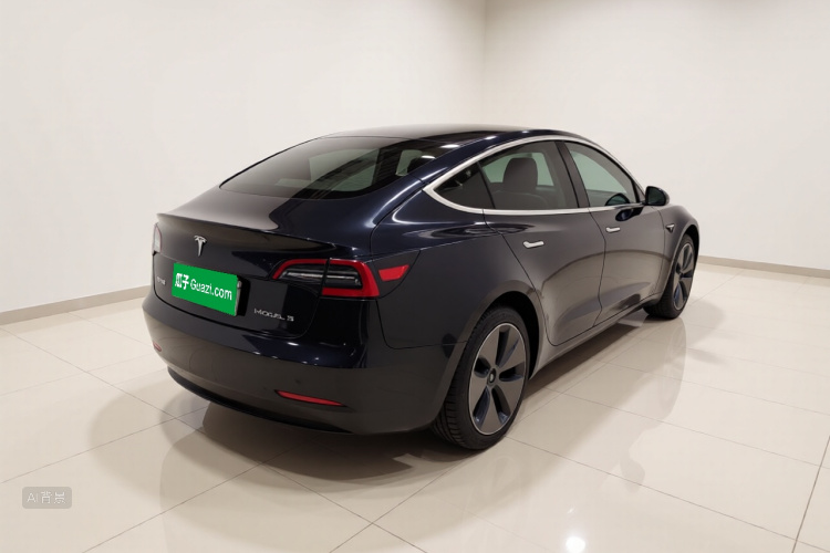 Tesla Model 3 2020 car image #7