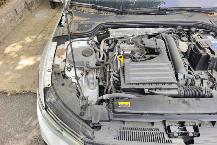 Volkswagen Golf 2023 #24 Volkswagen Golf 2023 car image #24