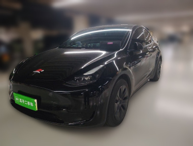 Tesla Model Y 2024 car image 