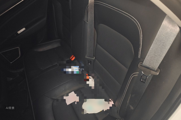 GEELY Emgrand GL 2020 car image #19