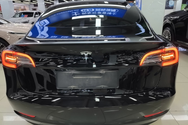 Tesla Model 3 2022 #6 Tesla Model 3 2022 car image #6