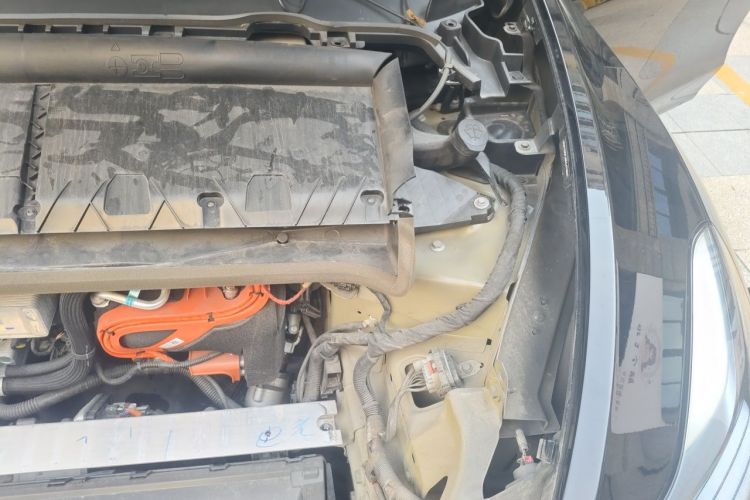 Tesla Model Y 2024 car image #29