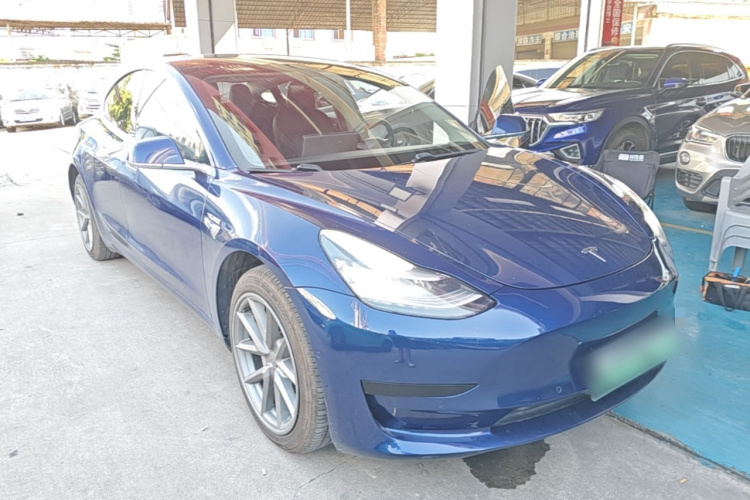 Tesla Model 3 2020 car image #4