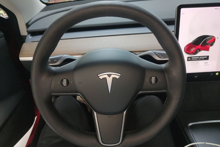 Tesla Model 3 2020 car image #15