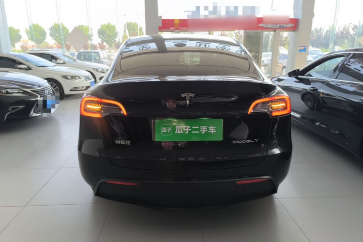 Tesla Model Y 2023 car image #6