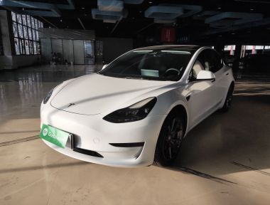 Tesla Model 3 2021 Tesla Model 3 2021 car image