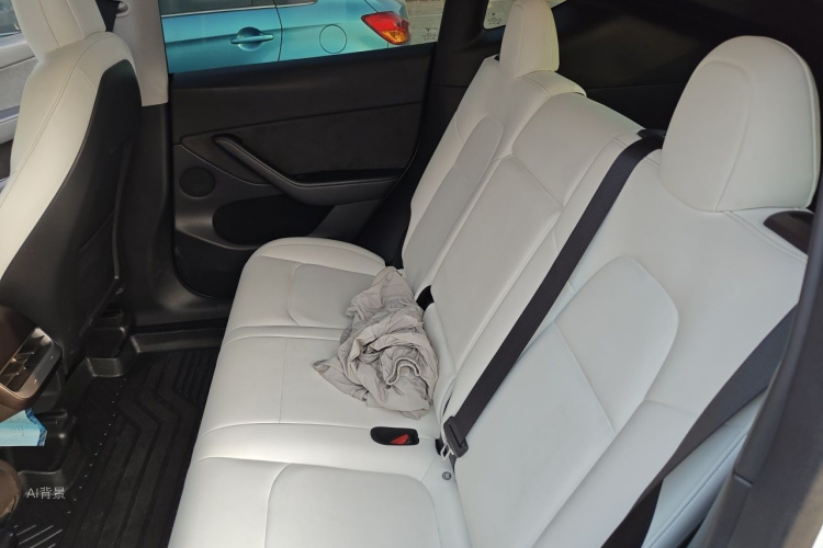 Tesla Model Y 2021 car image #19