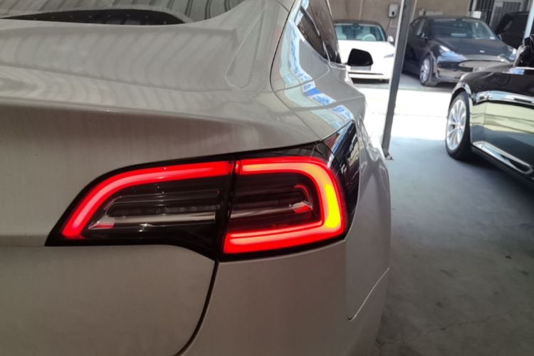 Tesla Model 3 2020 immagine di auto #8