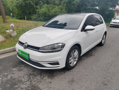 Volkswagen Golf 2019 Volkswagen Golf 2019 car image