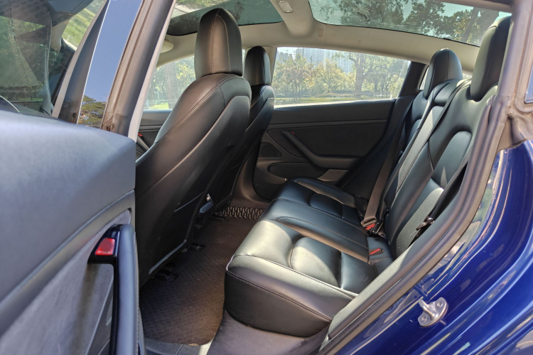 Tesla Model 3 2020 car image #17