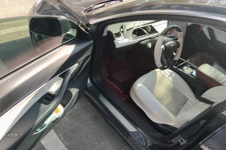 Tesla Model 3 2020 #18 Tesla Model 3 2020 car image #18