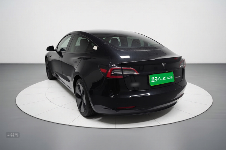 Tesla Model 3 2021 #5 Tesla Model 3 2021 car image #5