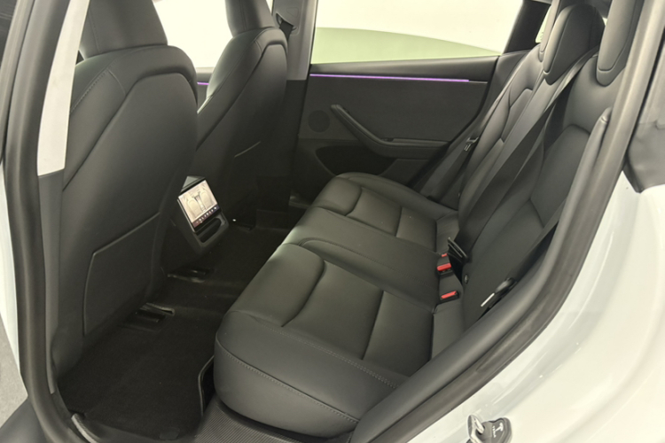 Tesla Model 3 2025 car image #12