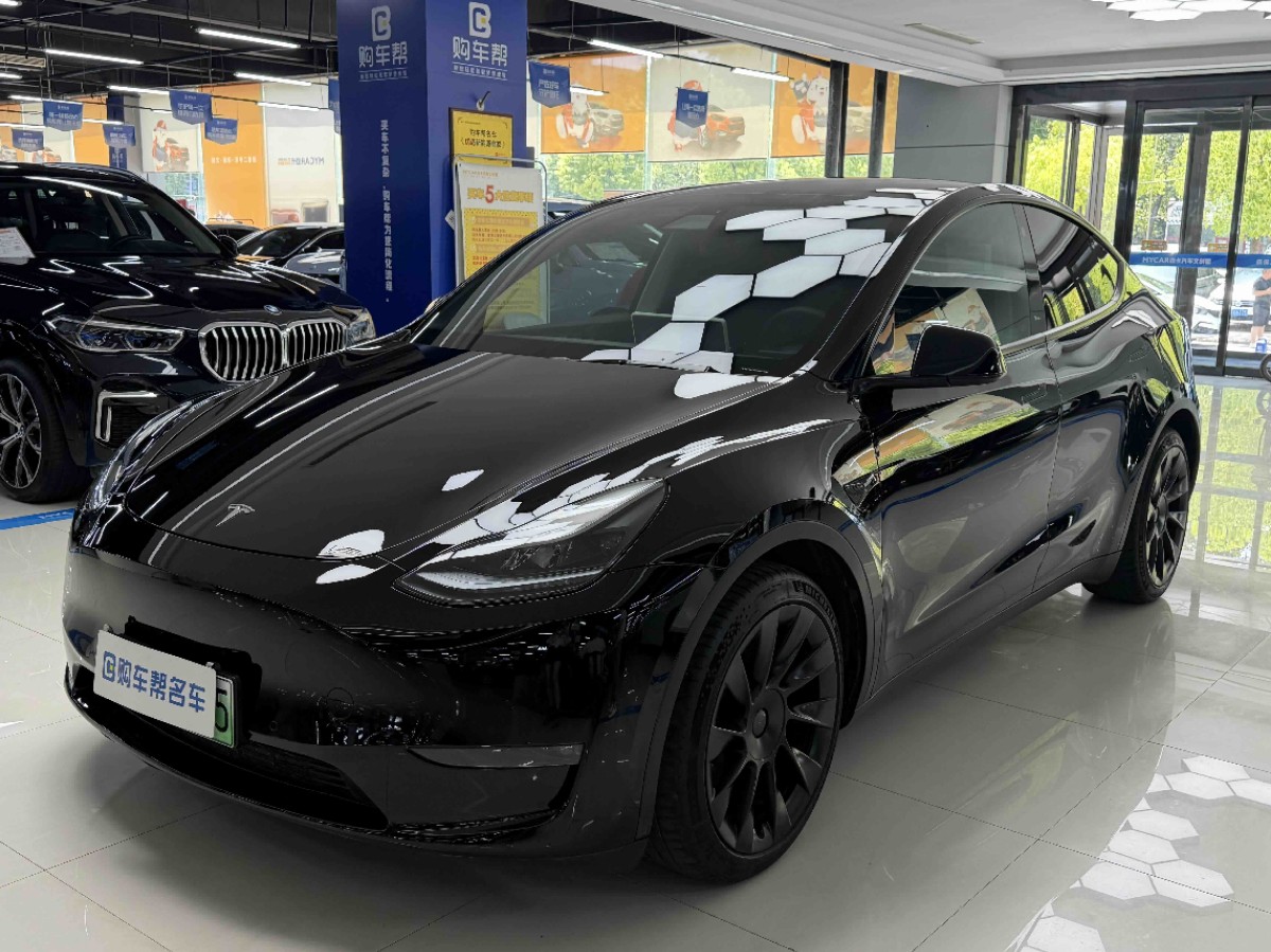 Tesla Model Y 2021 Tesla Model Y 2021 car image