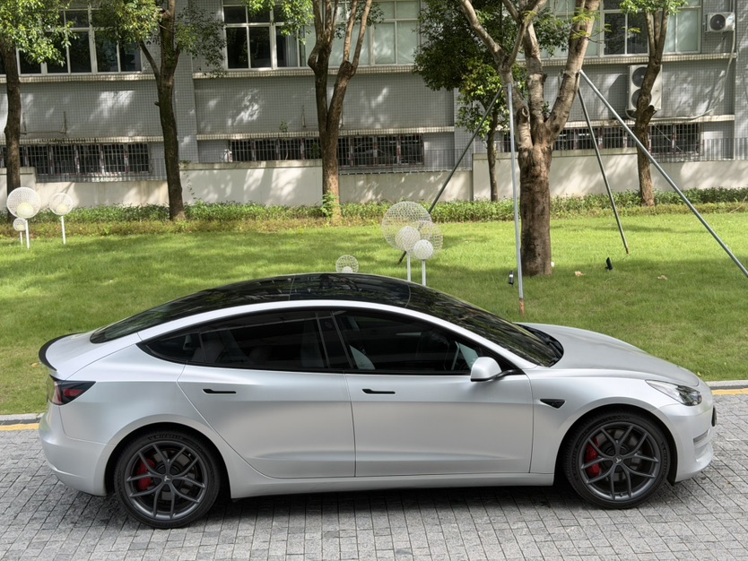 Tesla Model 3 2021 immagine di auto #4