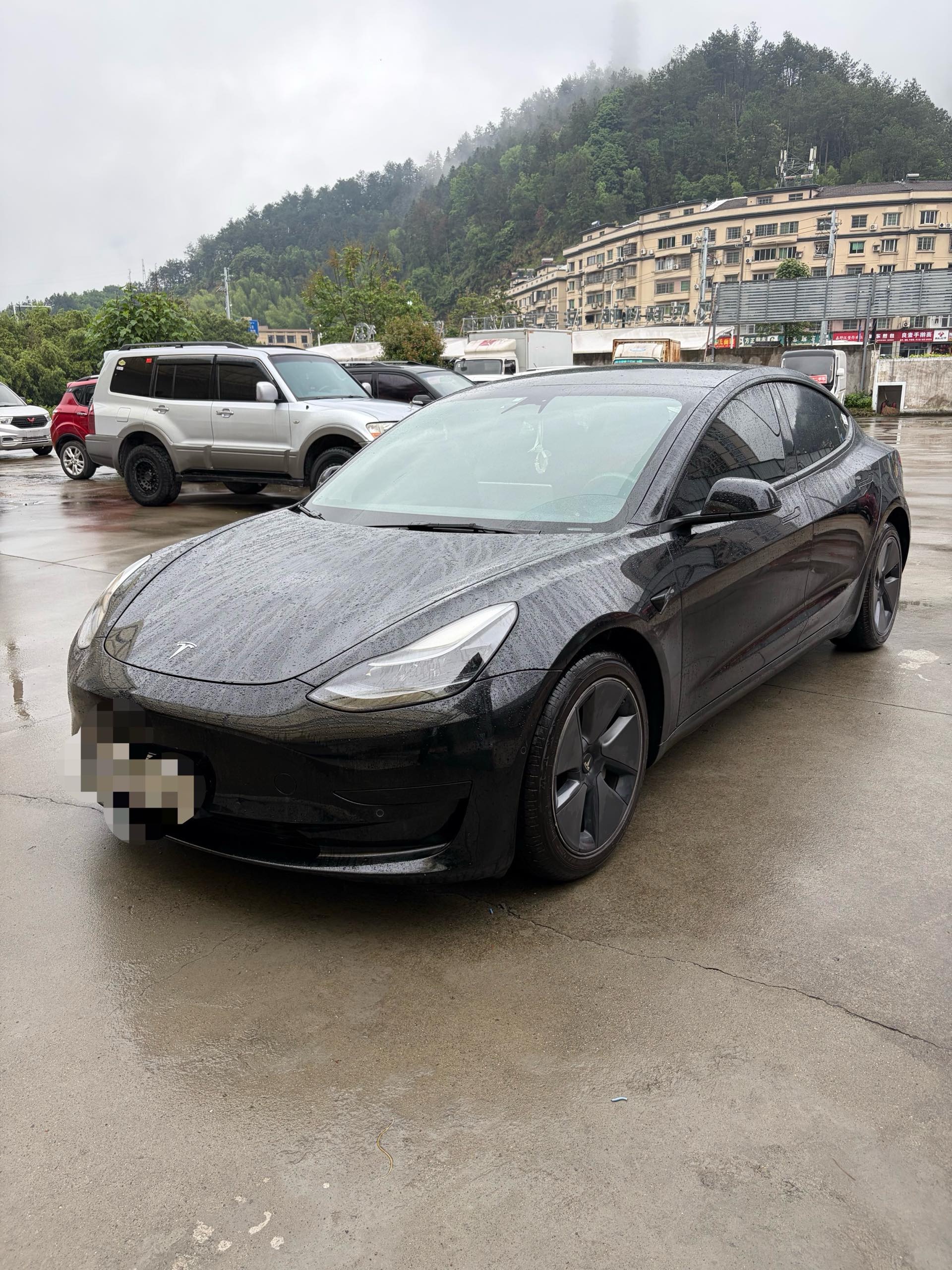 Tesla Model 3 2022 Tesla Model 3 2022 car image
