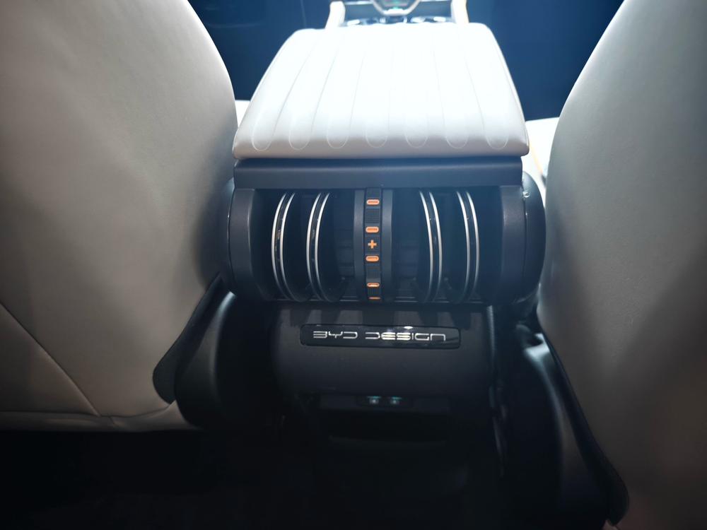 BYD Yuan Plus 2023 car image #11