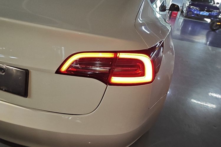 Tesla Model 3 2020 #8 Tesla Model 3 2020 car image #8