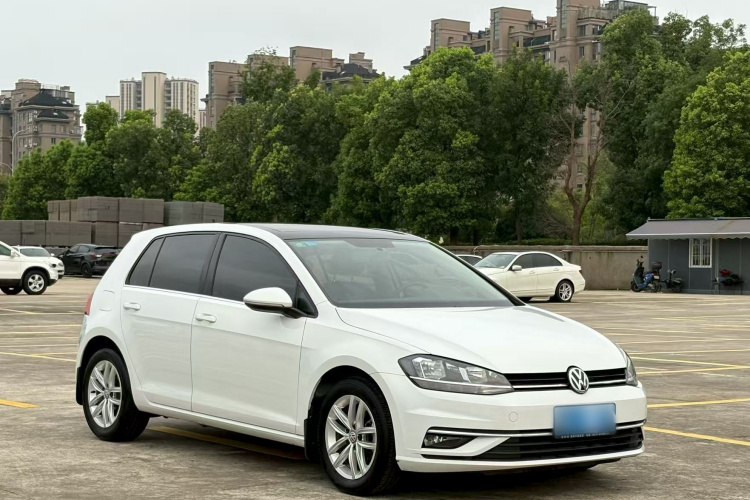 Volkswagen Golf 2019 car image #4