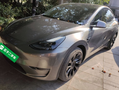 Tesla Model Y 2021 Tesla Model Y 2021 car image