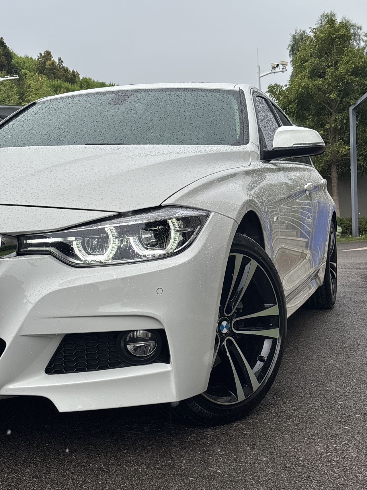 BMW 3 Series 2019 car image #12