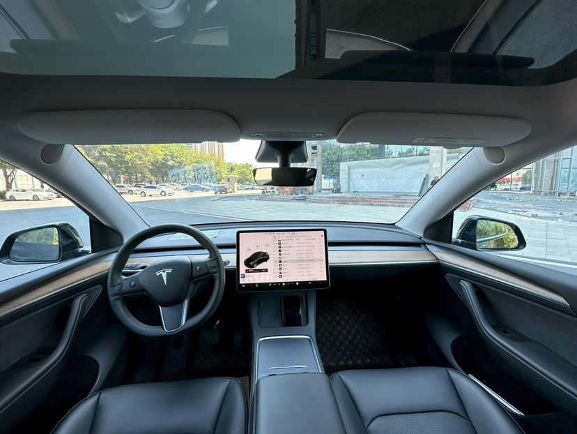 Tesla Model Y 2021 car image #4