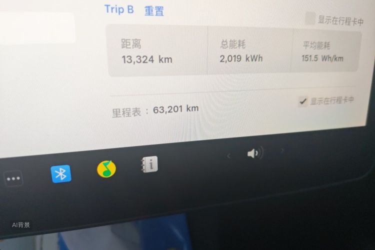 Tesla Model Y 2021 car image #14