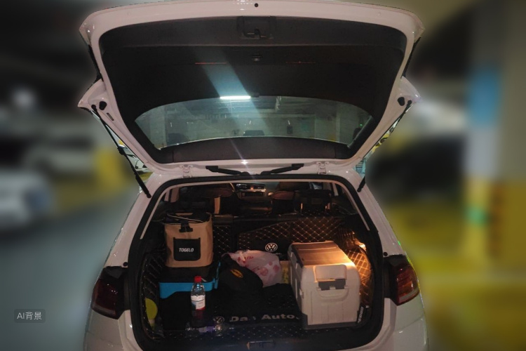 Volkswagen Golf 2019 car image #21